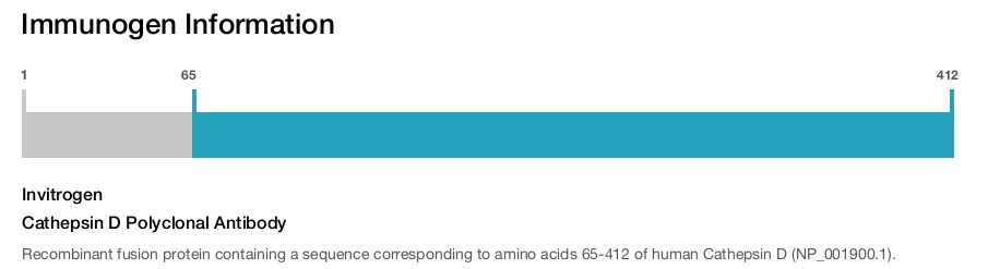 Cathepsin D Polyclonal Antibody