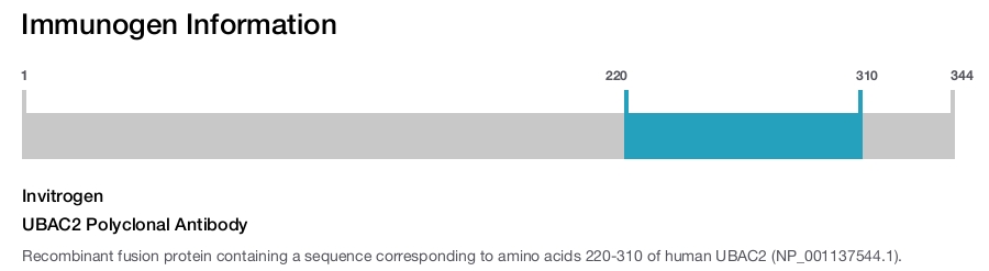 UBAC2 Polyclonal Antibody