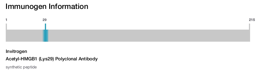 Acetyl-HMGB1 (Lys29) Polyclonal Antibody