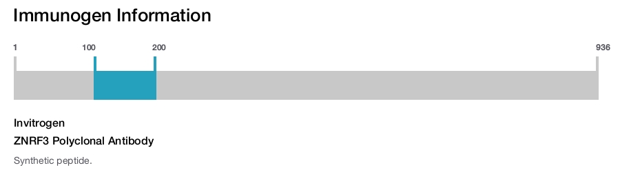 ZNRF3 Polyclonal Antibody