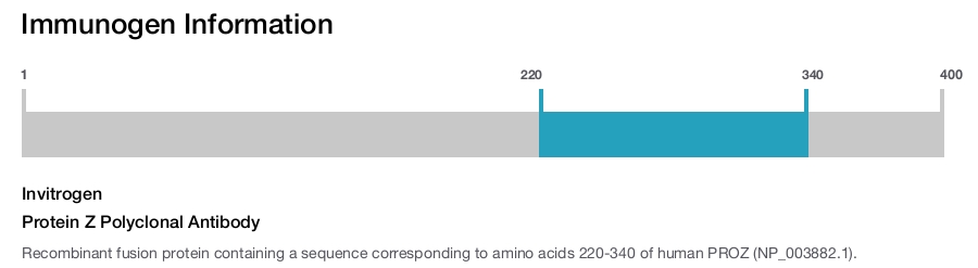 Protein Z Polyclonal Antibody