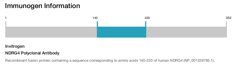 NDRG4 Polyclonal Antibody