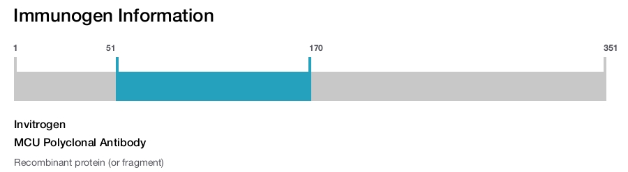 MCU Polyclonal Antibody