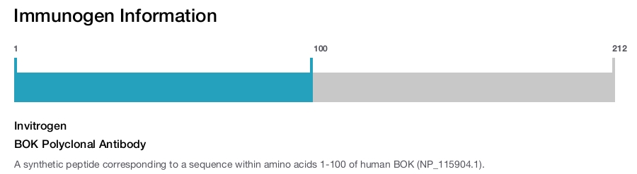 BOK Polyclonal Antibody