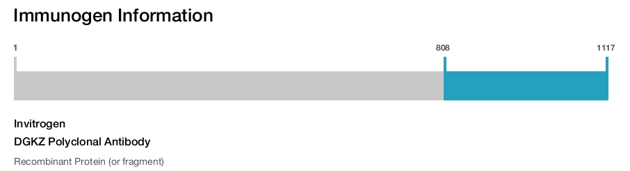 DGKZ Polyclonal Antibody