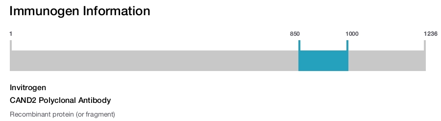 CAND2 Polyclonal Antibody