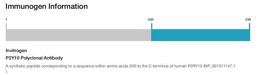 P2Y10 Polyclonal Antibody
