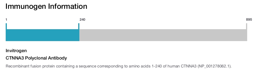 CTNNA3 Polyclonal Antibody