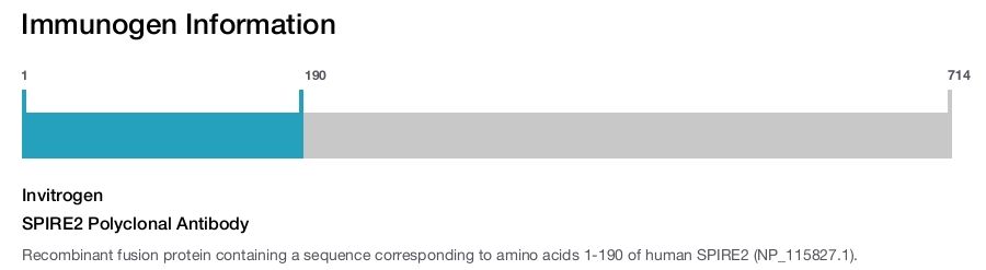 SPIRE2 Polyclonal Antibody