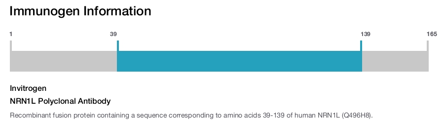 NRN1L Polyclonal Antibody