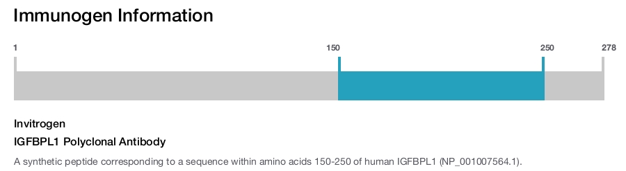 IGFBPL1 Polyclonal Antibody