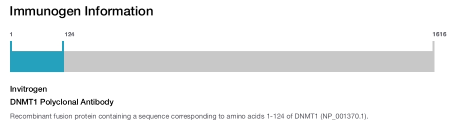DNMT1 Polyclonal Antibody