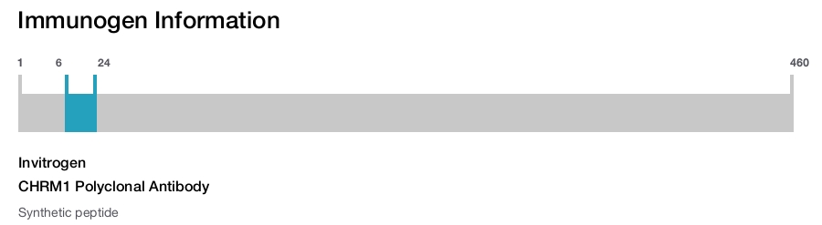 CHRM1 Polyclonal Antibody