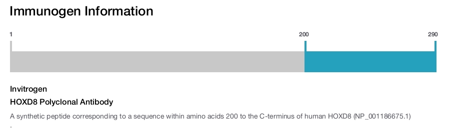 HOXD8 Polyclonal Antibody