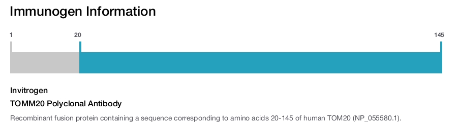 TOMM20 Polyclonal Antibody