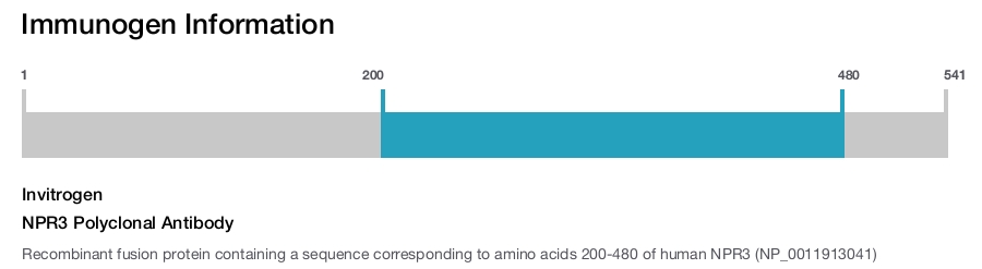 NPR3 Polyclonal Antibody