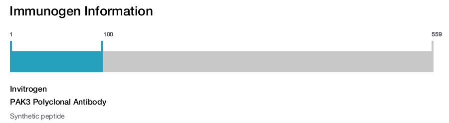 PAK3 Polyclonal Antibody