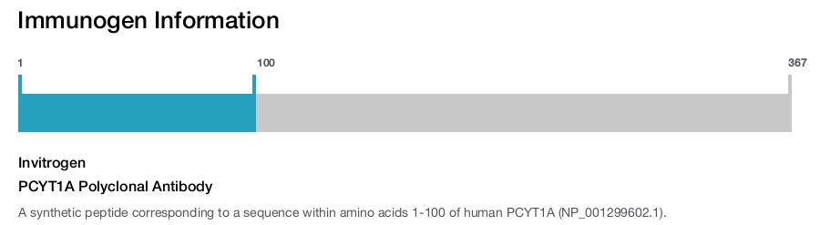 PCYT1A Polyclonal Antibody