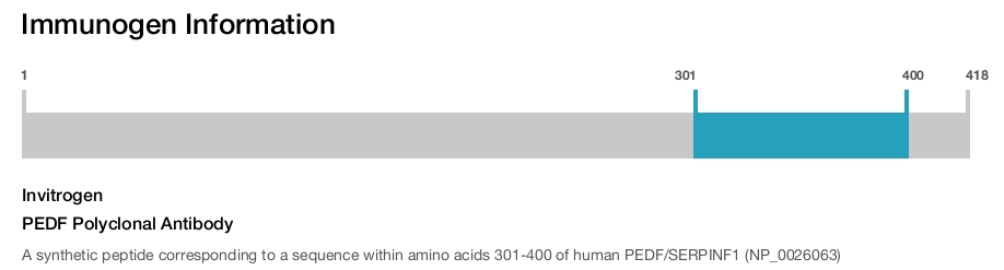 PEDF Polyclonal Antibody