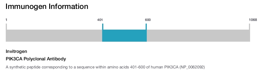 PIK3CA Polyclonal Antibody