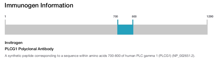 PLCG1 Polyclonal Antibody