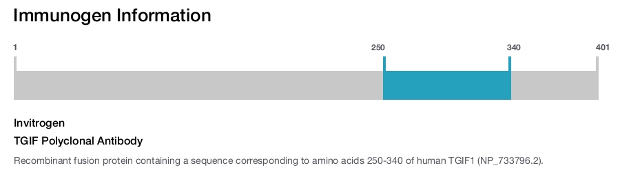 TGIF Polyclonal Antibody