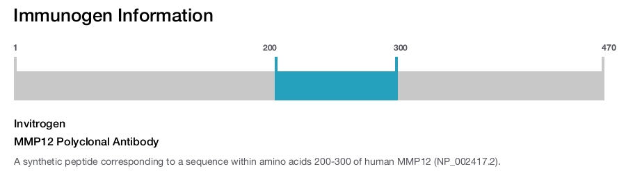 MMP12 Polyclonal Antibody