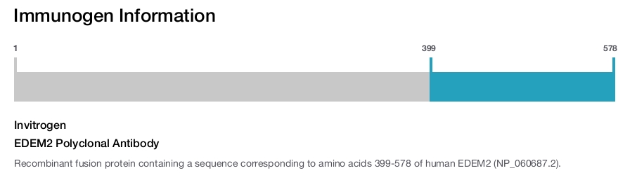 EDEM2 Polyclonal Antibody