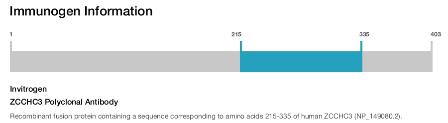ZCCHC3 Polyclonal Antibody