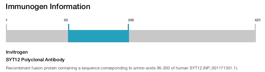 SYT12 Polyclonal Antibody