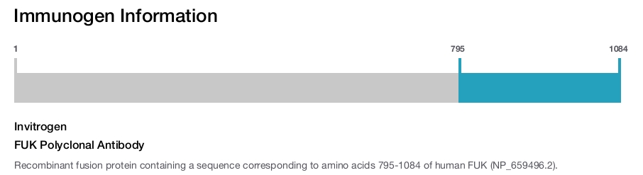 FUK Polyclonal Antibody