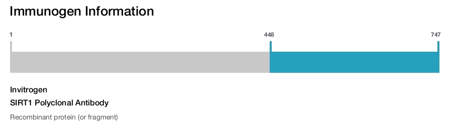 SIRT1 Polyclonal Antibody