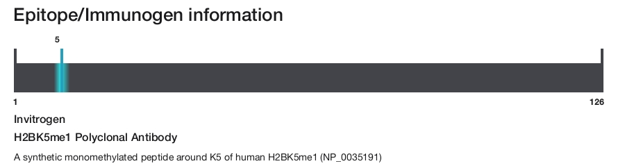 H2BK5me1 Polyclonal Antibody