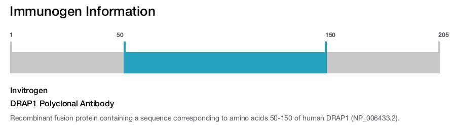 DRAP1 Polyclonal Antibody