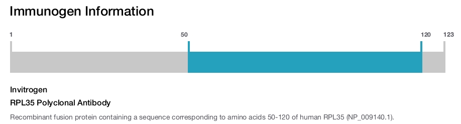 RPL35 Polyclonal Antibody