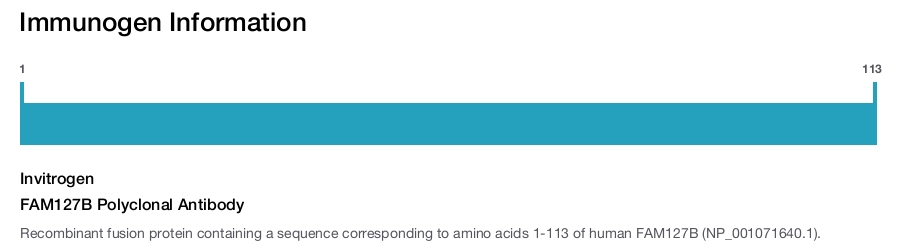 FAM127B Polyclonal Antibody