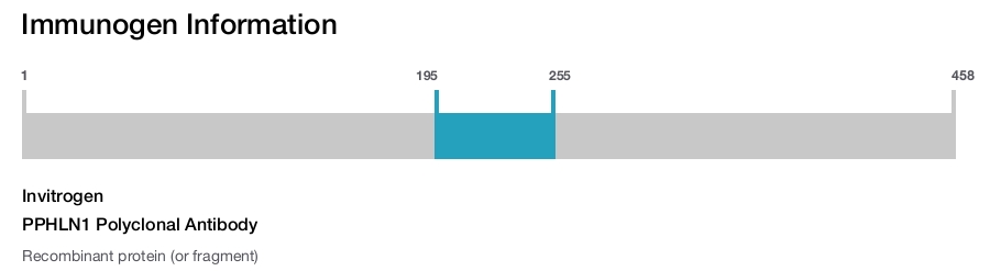 PPHLN1 Polyclonal Antibody