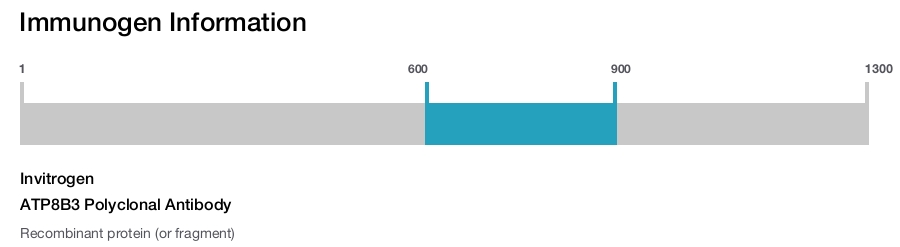 ATP8B3 Polyclonal Antibody