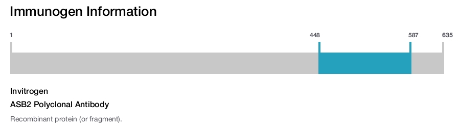 ASB2 Polyclonal Antibody