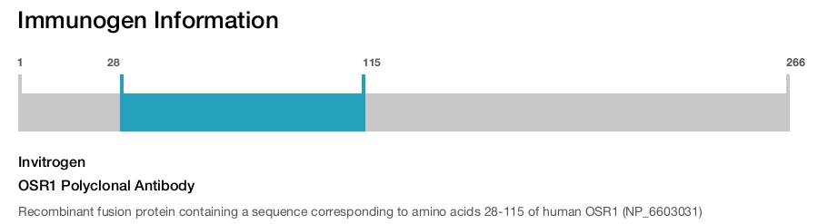 OSR1 Polyclonal Antibody