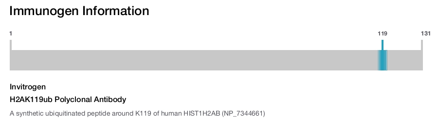 H2AK119ub Polyclonal Antibody