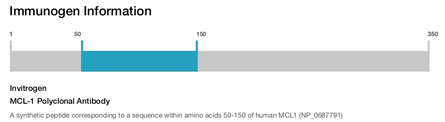 MCL-1 Polyclonal Antibody