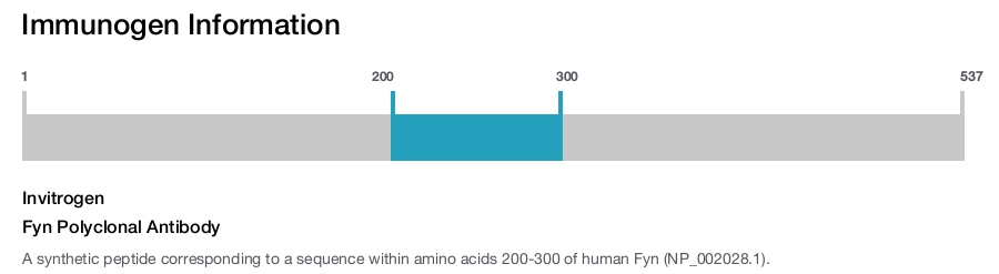 Fyn Polyclonal Antibody