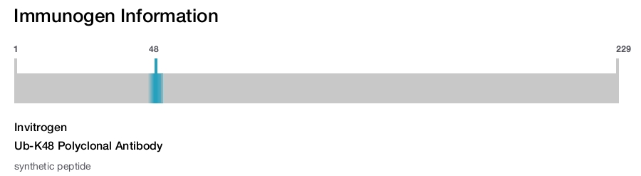 Ub-K48 Polyclonal Antibody