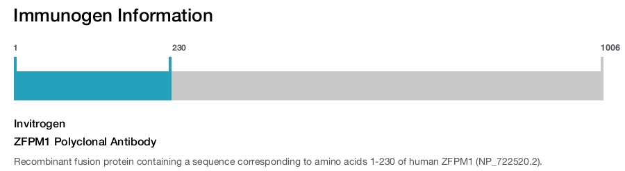 ZFPM1 Polyclonal Antibody