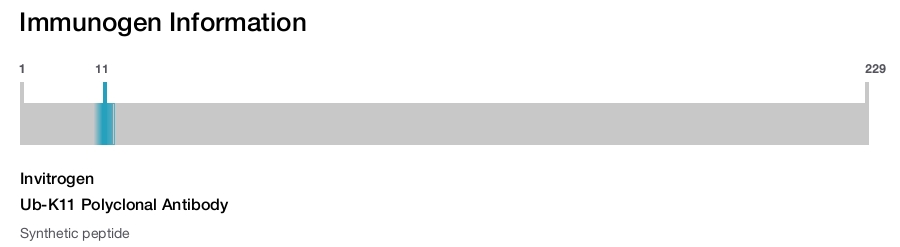 Ub-K11 Polyclonal Antibody