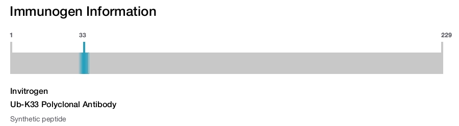 Ub-K33 Polyclonal Antibody