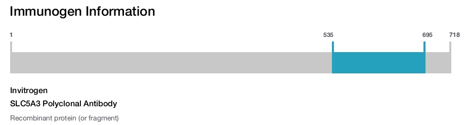 SLC5A3 Polyclonal Antibody