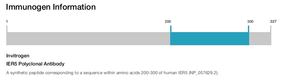 IER5 Polyclonal Antibody
