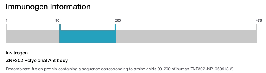 ZNF302 Polyclonal Antibody